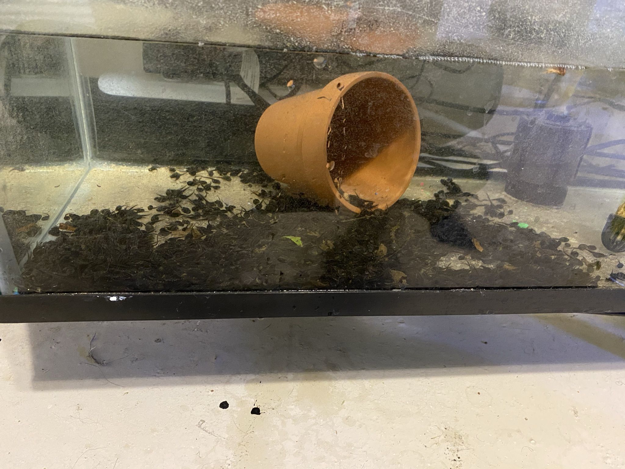 Aquarium Items