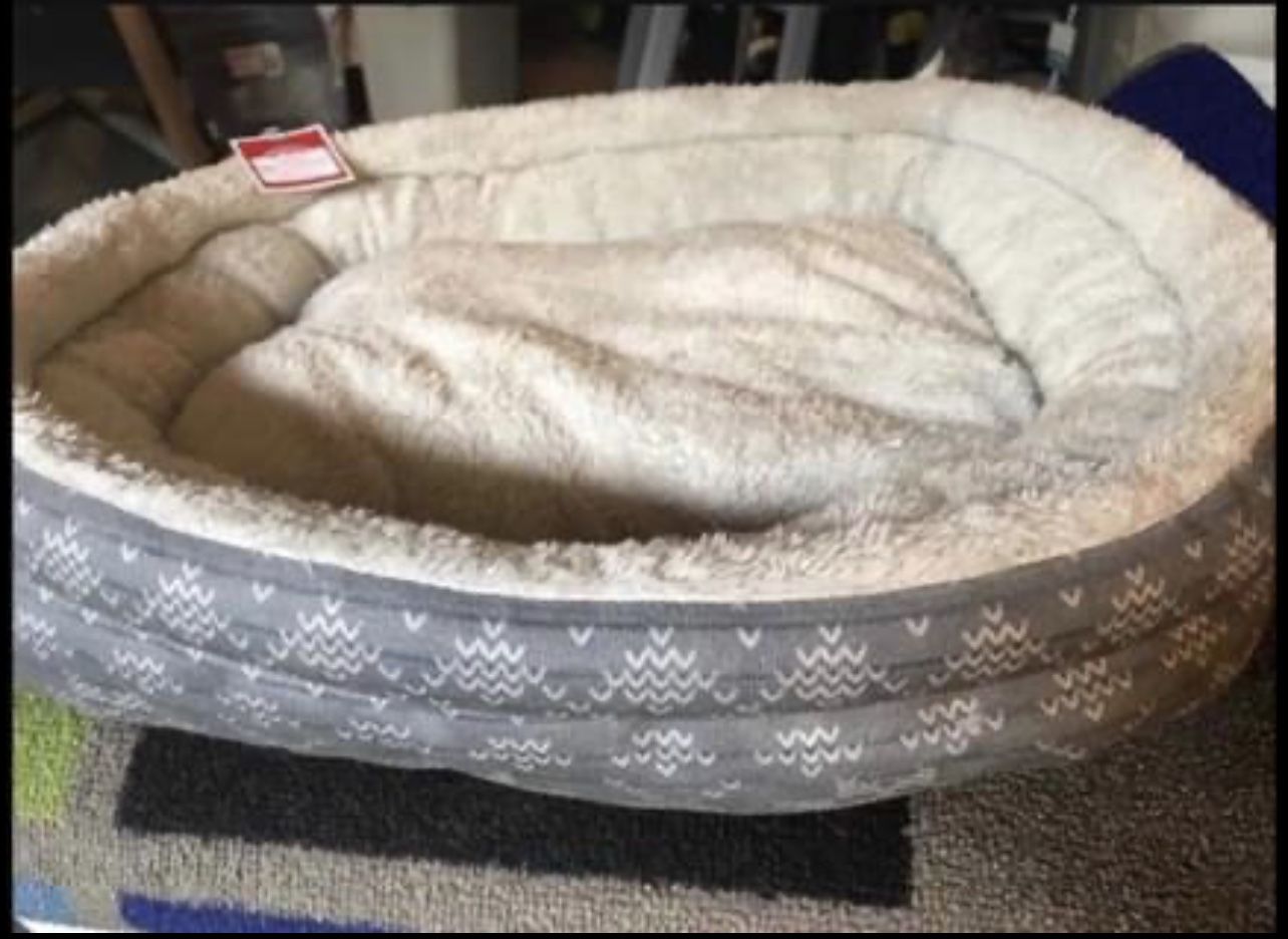 Dog Ramp$25 &More Dog Stuff-if Ad Up-is Available