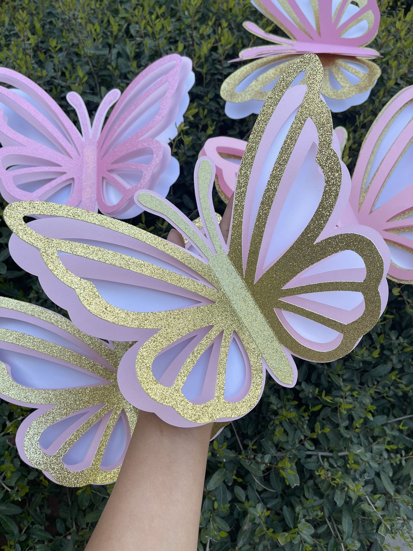 3D Large Butterflies