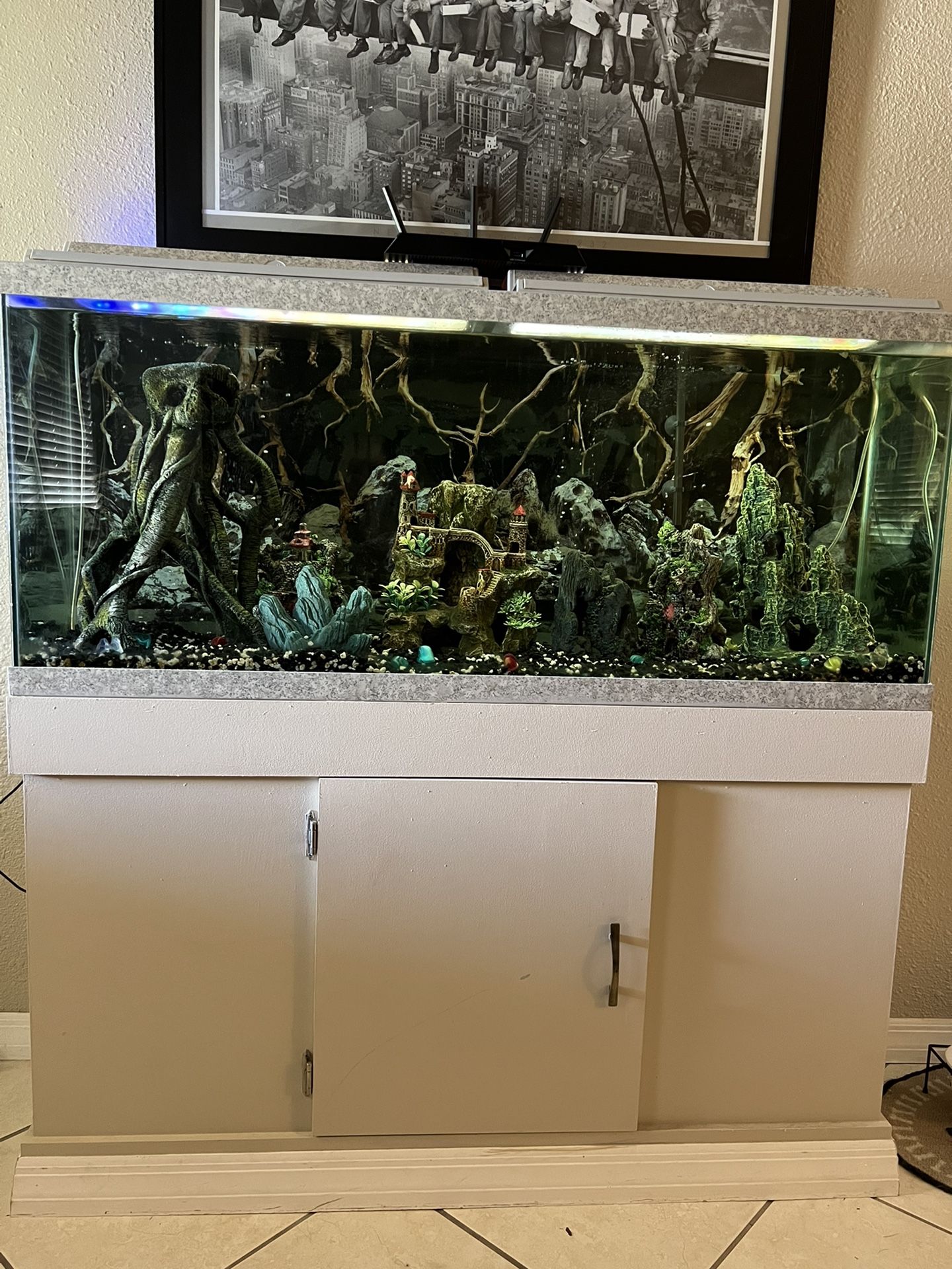 45 Gallon Fish Tank w/Storage and Decorations