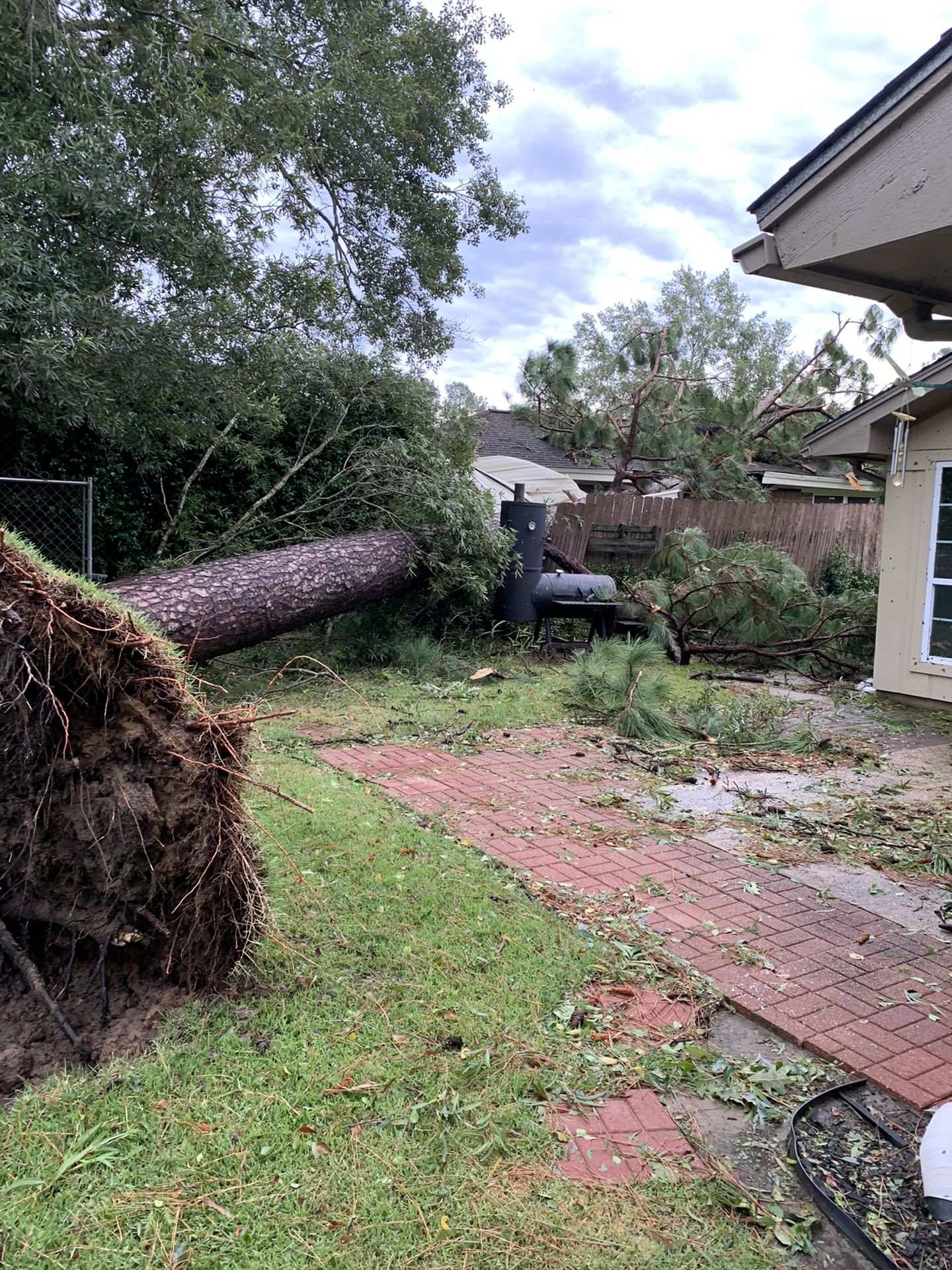 Tree Removal & Trimming