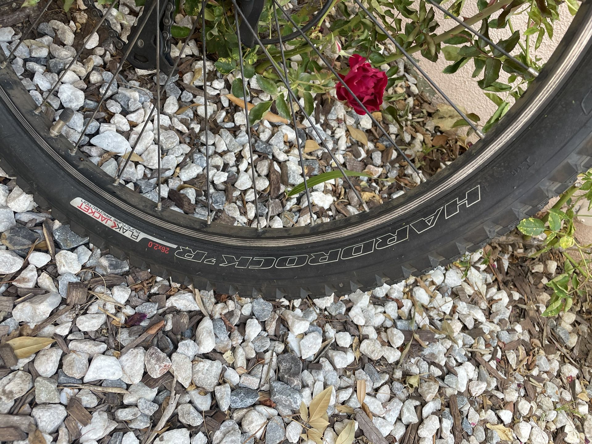 Schwinn S25 Dual Suspension