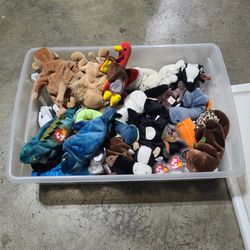 Box Of Beanie Babies. Perfect Condition Very. Rare Tag Error On Chocolate The Moose. Have 2 Of Them.  OBO Thumbnail