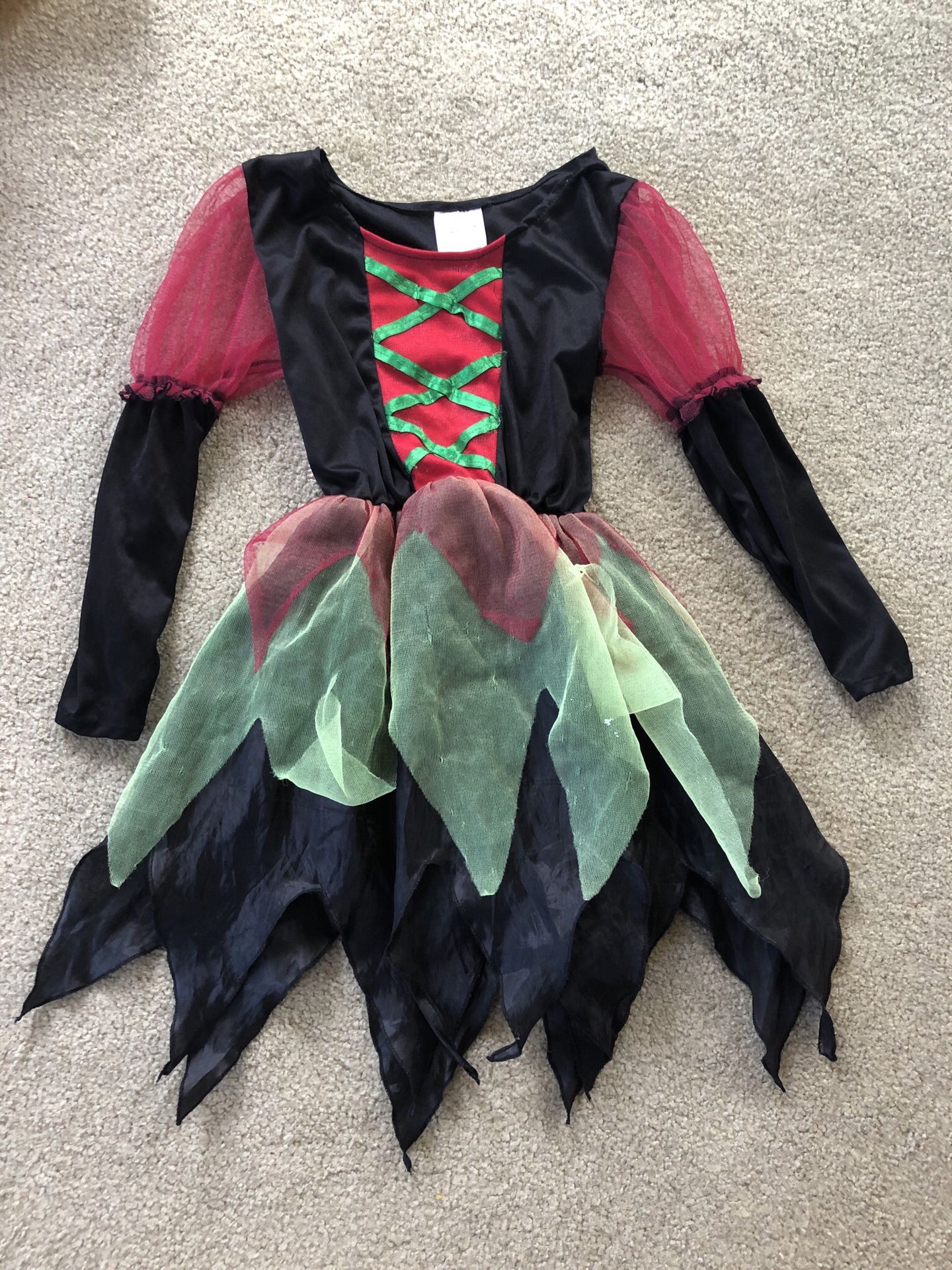 Five Princess costumes (4-5yr old)