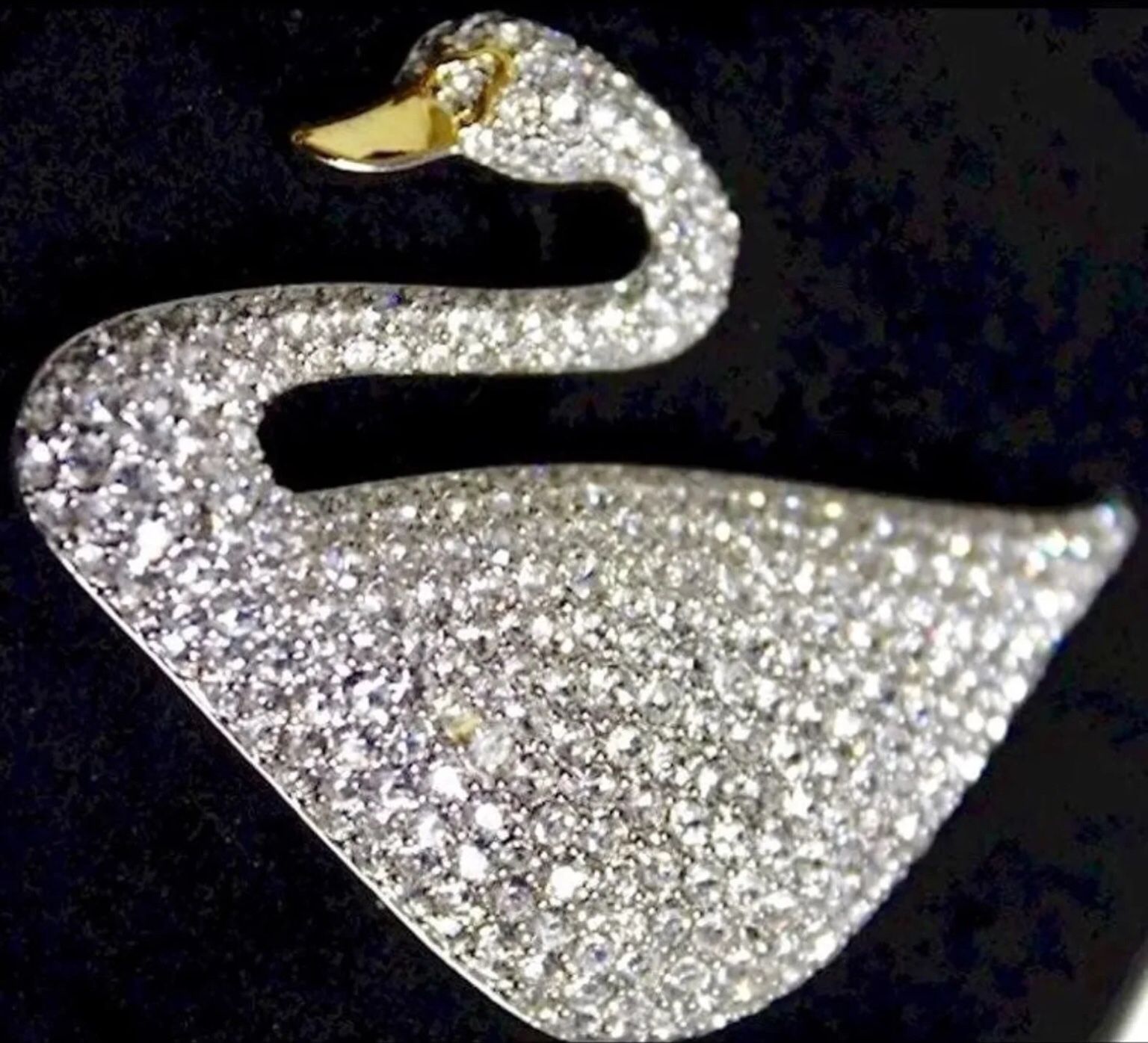 NEW Swarovski Swan Pin Brooch Crystal 100TH YEAR ANNIVERSARY IN ORIGINAL BOX