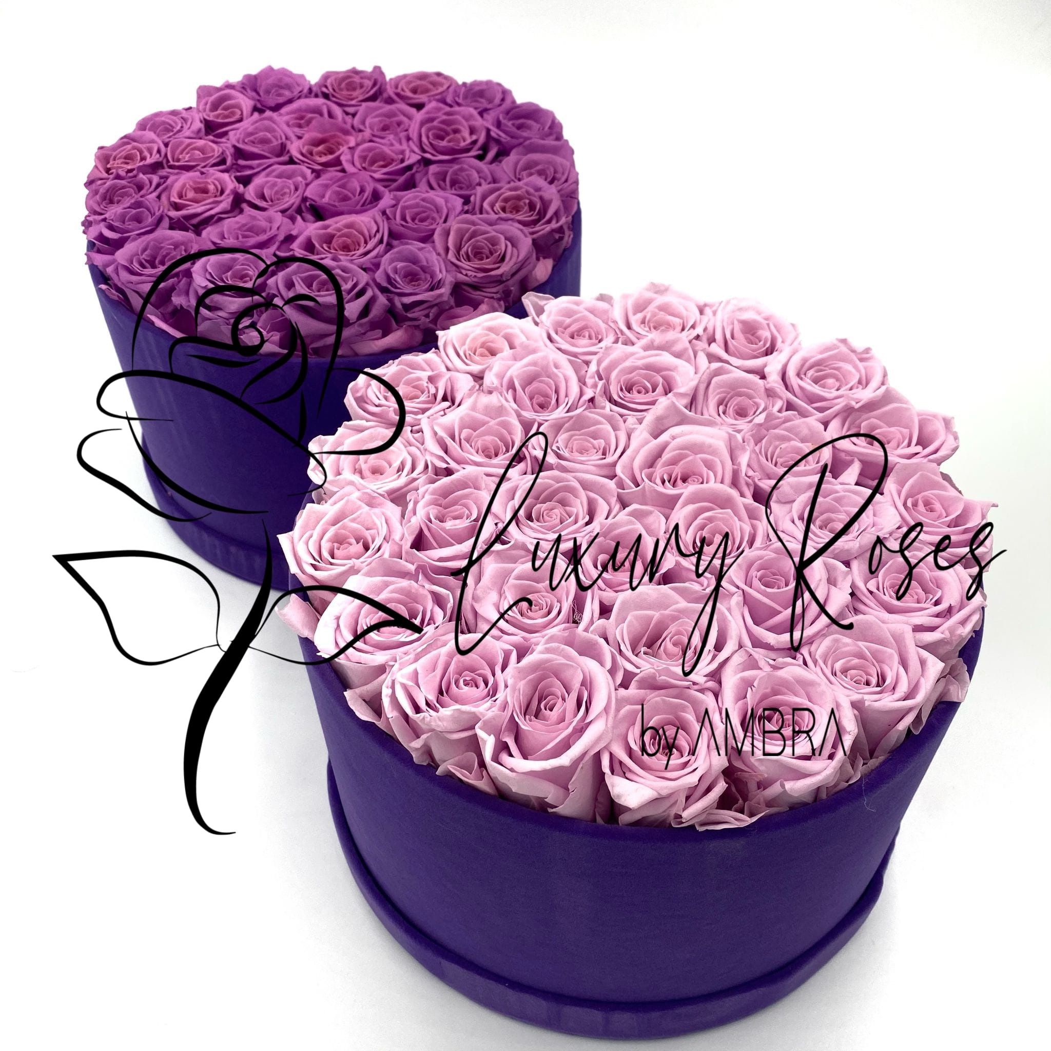 Eternal velvet box roses real preserved roses purple flowers immortal roses anniversary birthday immortal lasting Velvet Box Present