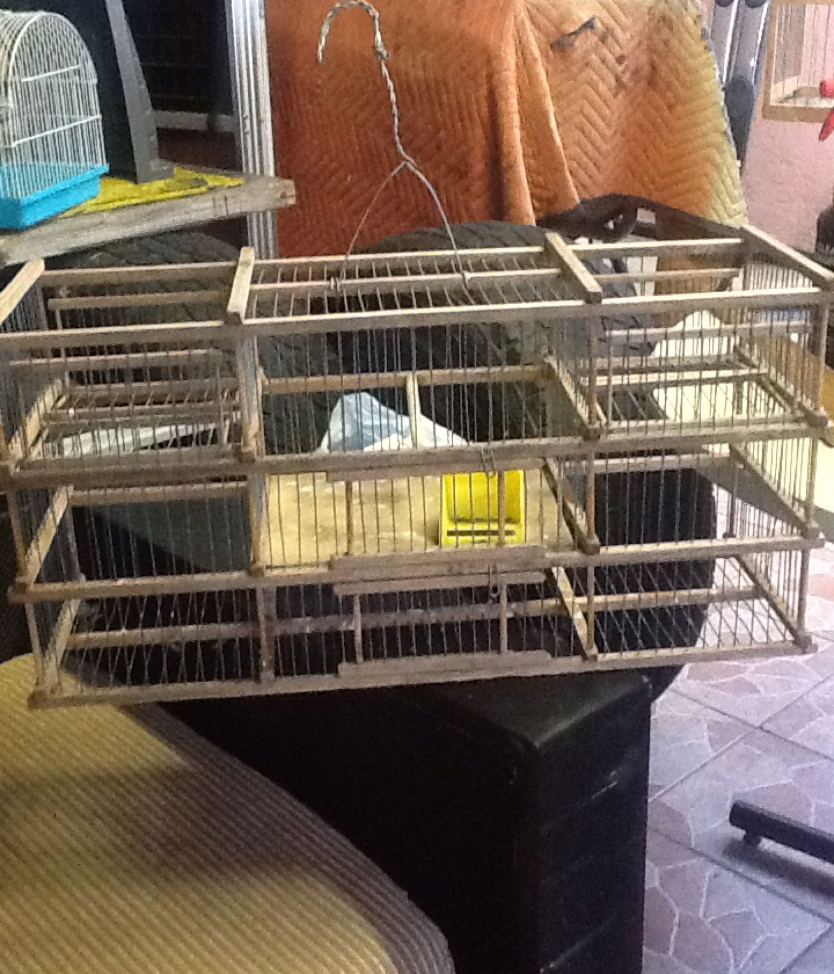 bird cage(trap)