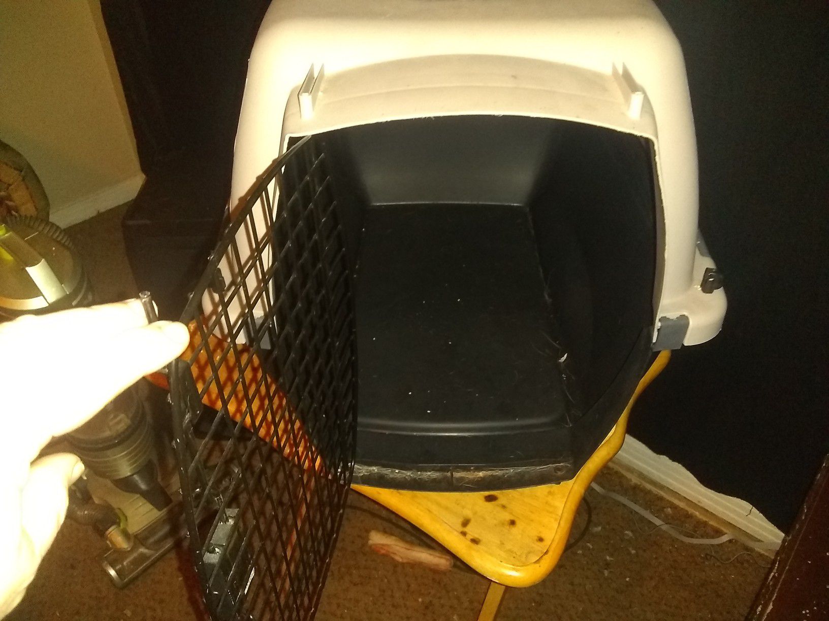 Dog or cat kennel ready to go