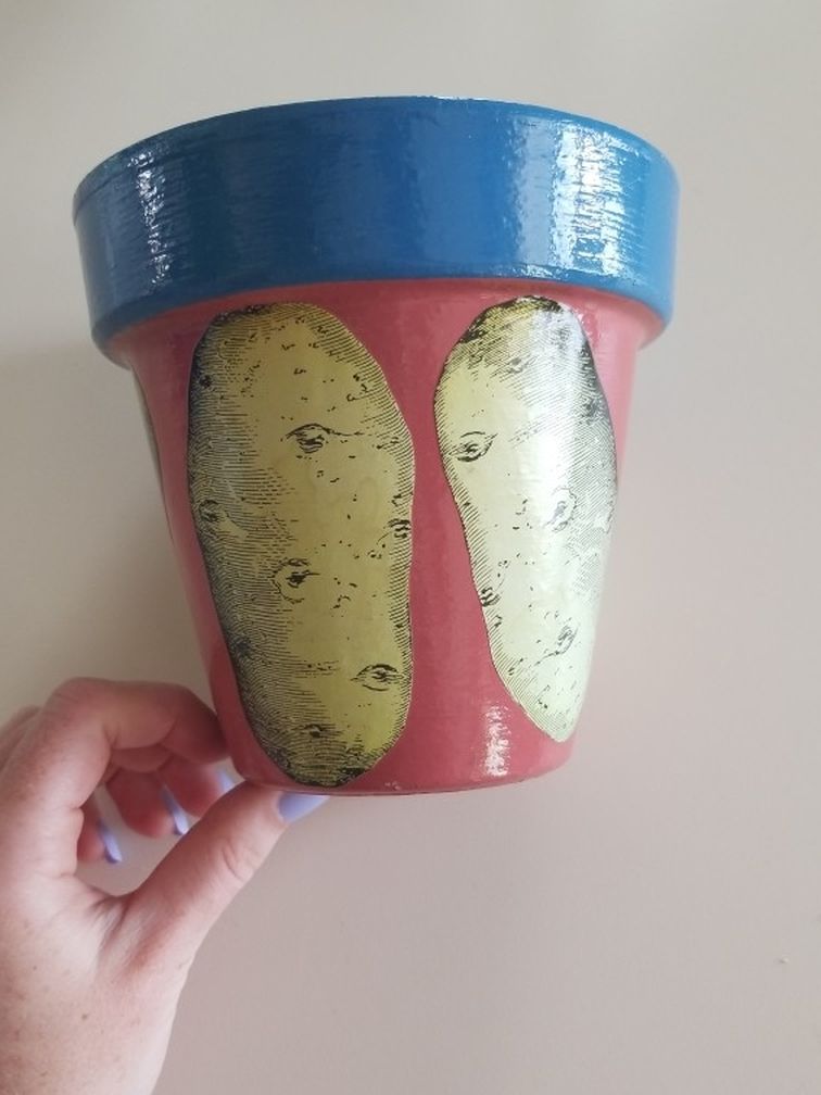 Orange/Blue Potato Pot