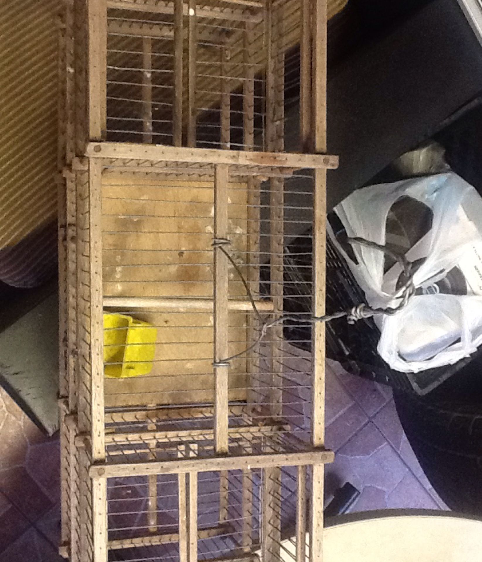 bird cage(trap)