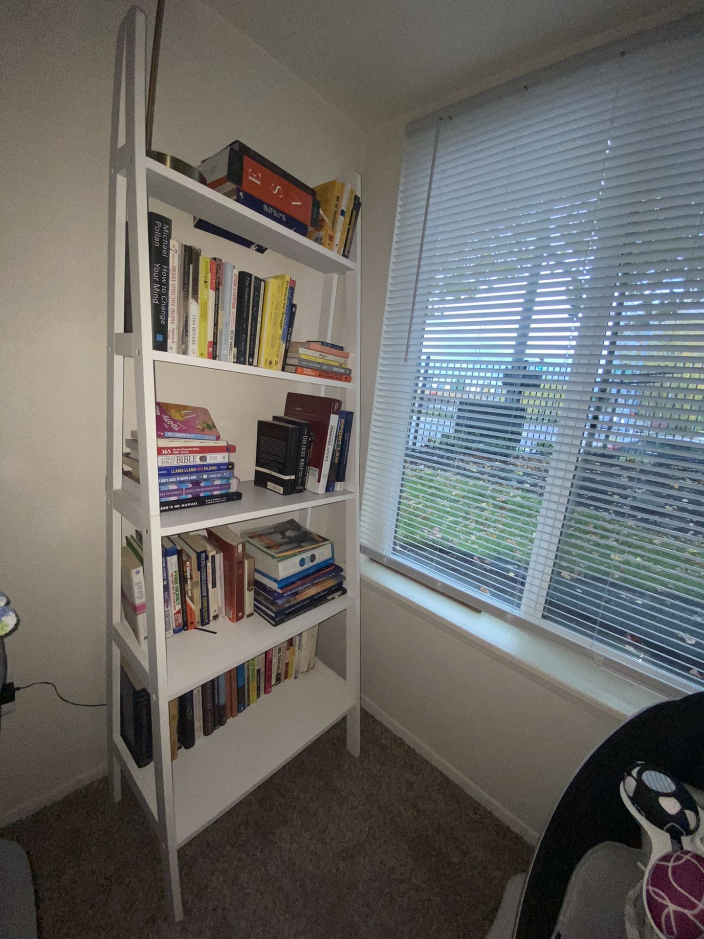 White Ladder Book Shelf