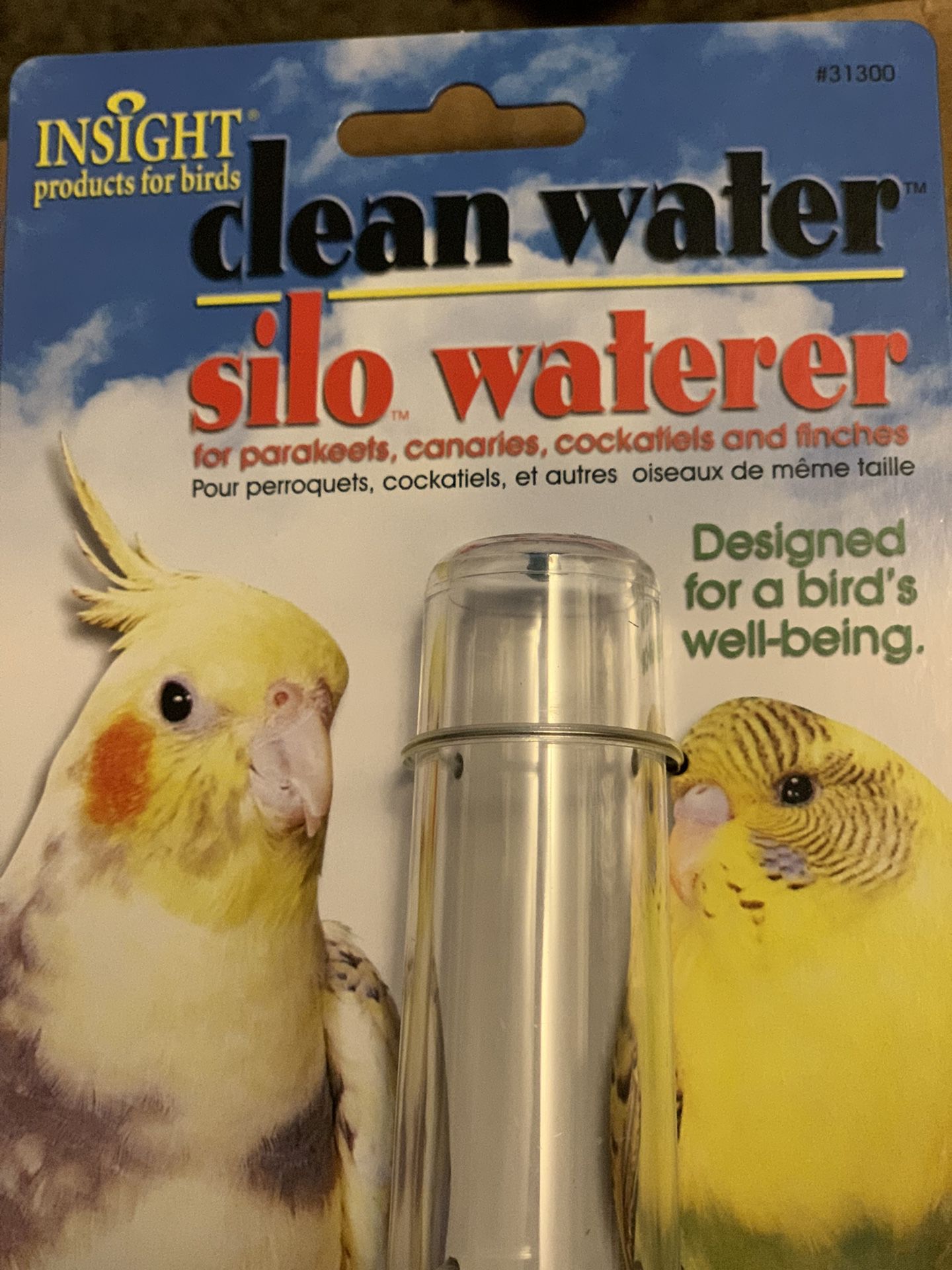 All Bird Water Feeder Clean Water