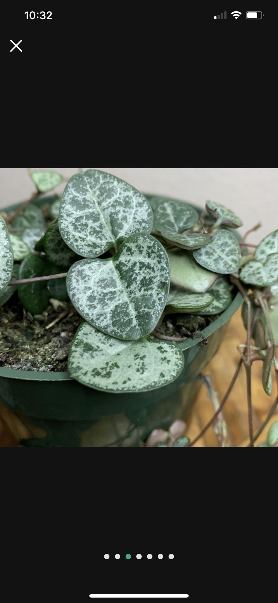 String Of Hearts