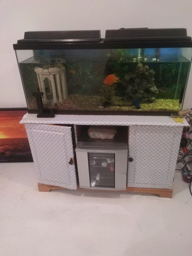 55gal Fish Tank