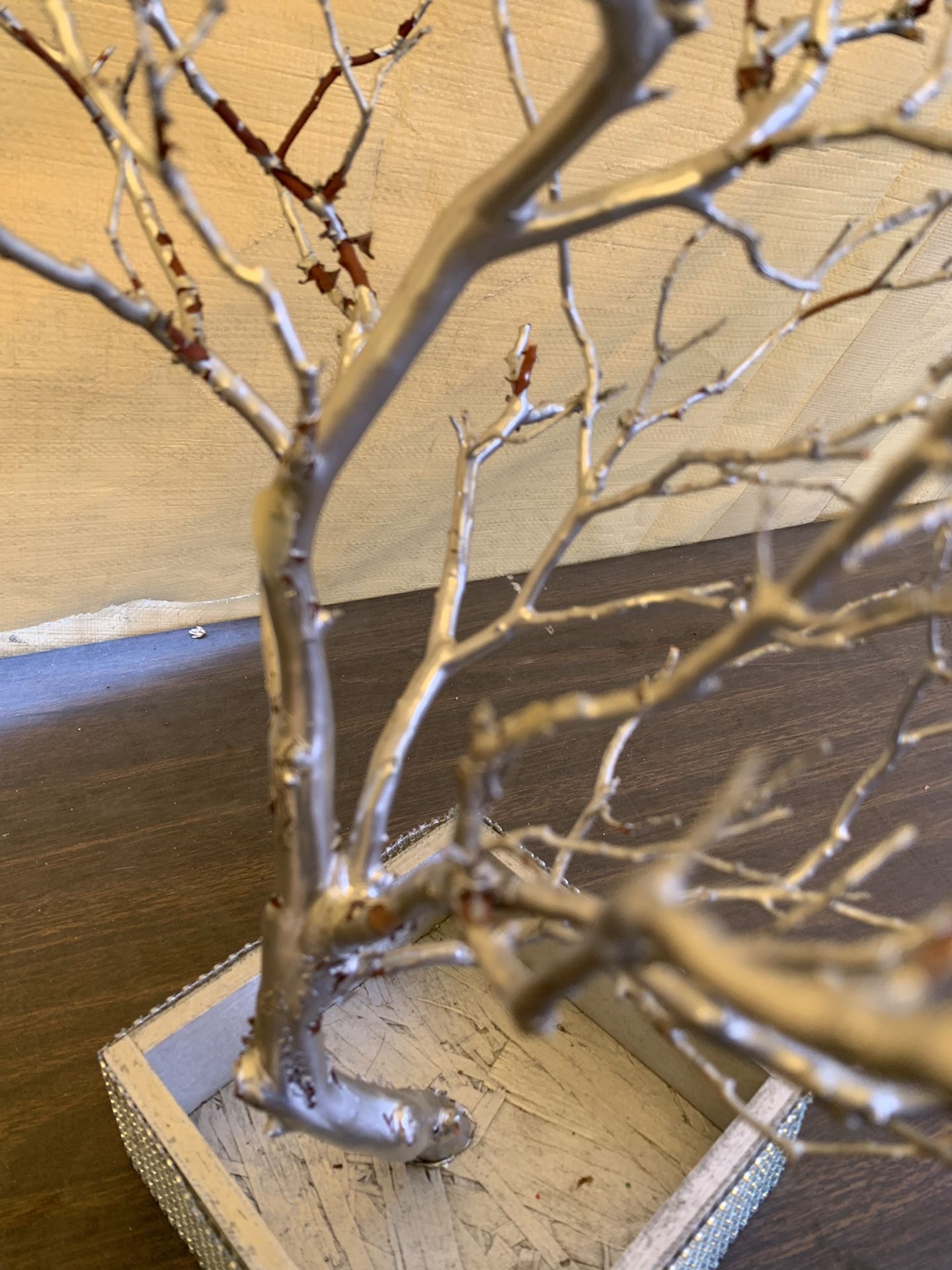 Manzanita Tree In Shadow Box With Jewels