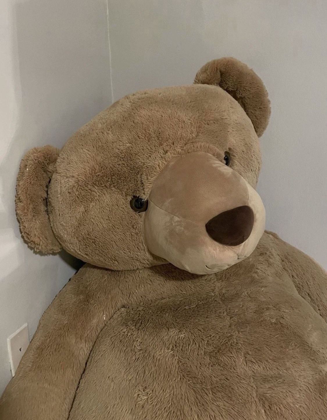 Giant Teddy Bear