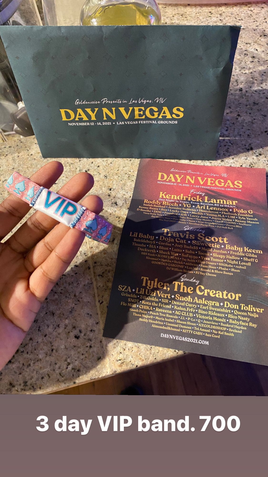 Day N Vegas VIP band