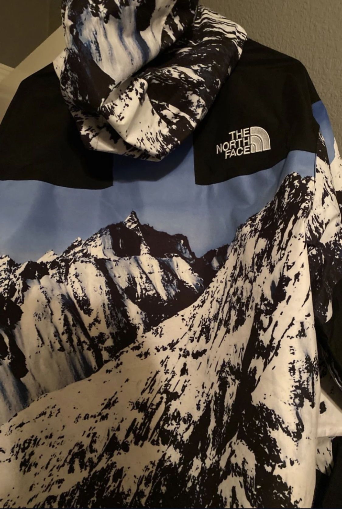 Supreme: North Face Parka