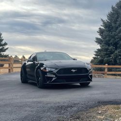 2019 Ford Mustang Thumbnail