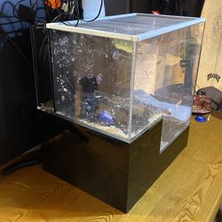 Seapora 20gallon Drop Off All In One Fish Tank And More  Thumbnail