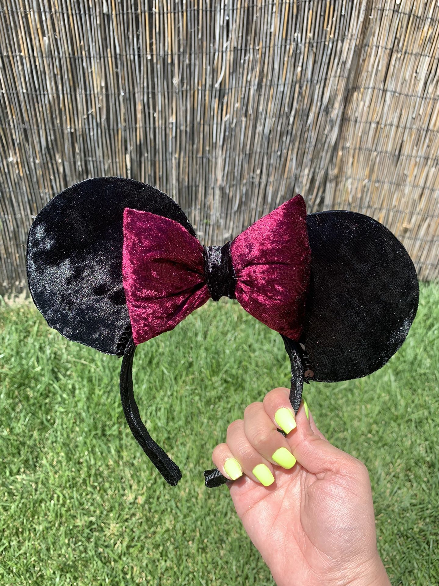 Inspired Mickey Ears