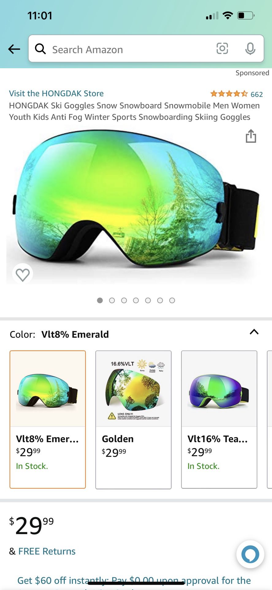 Ski Goggles 
