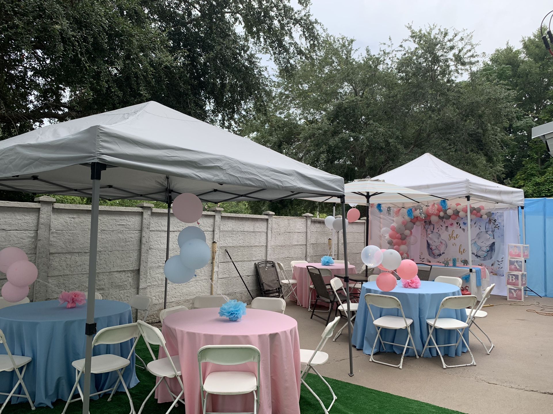 Gender Reveal Decoration