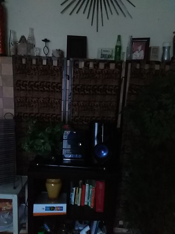 Pier 1 Imports Zebra and elephant print room partition
