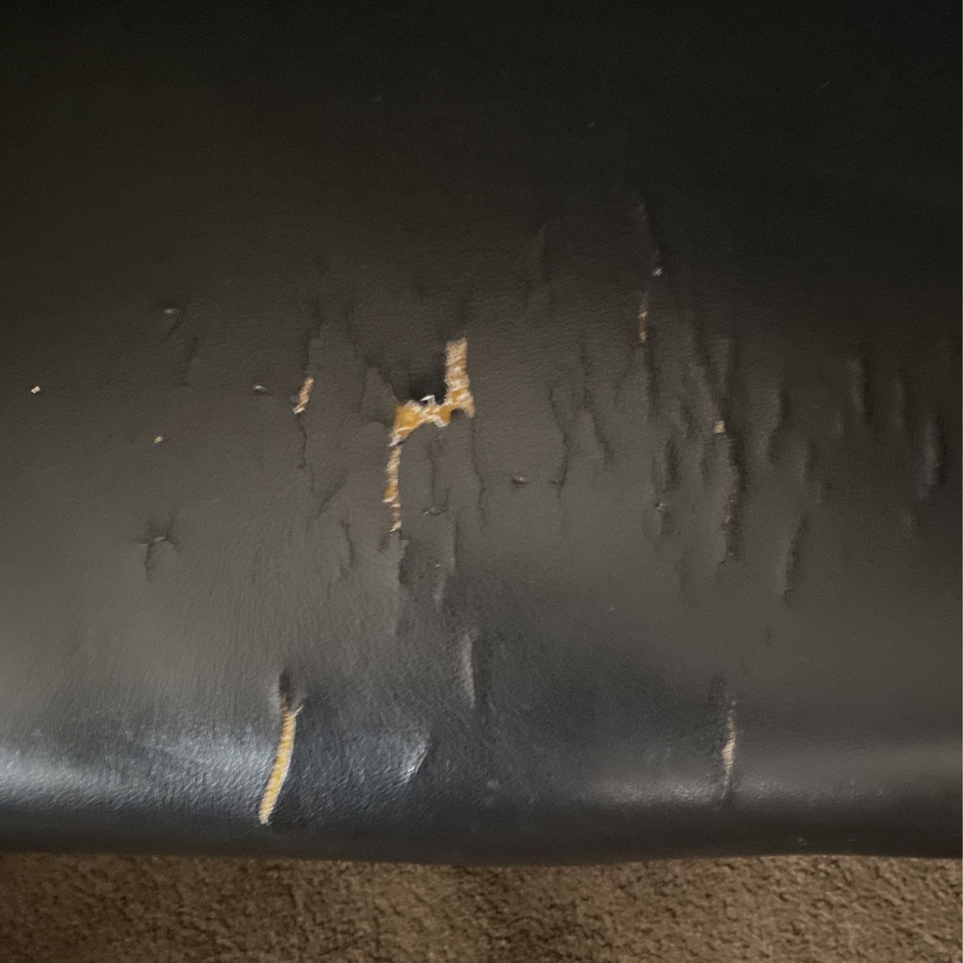 Salon Chair