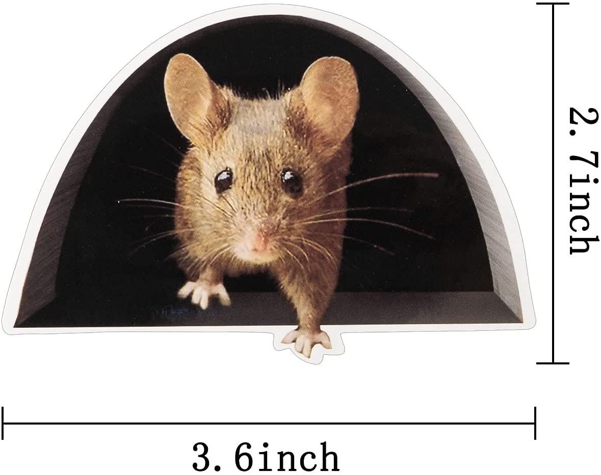 3-d Mouse Hole BaseBoard Sticker