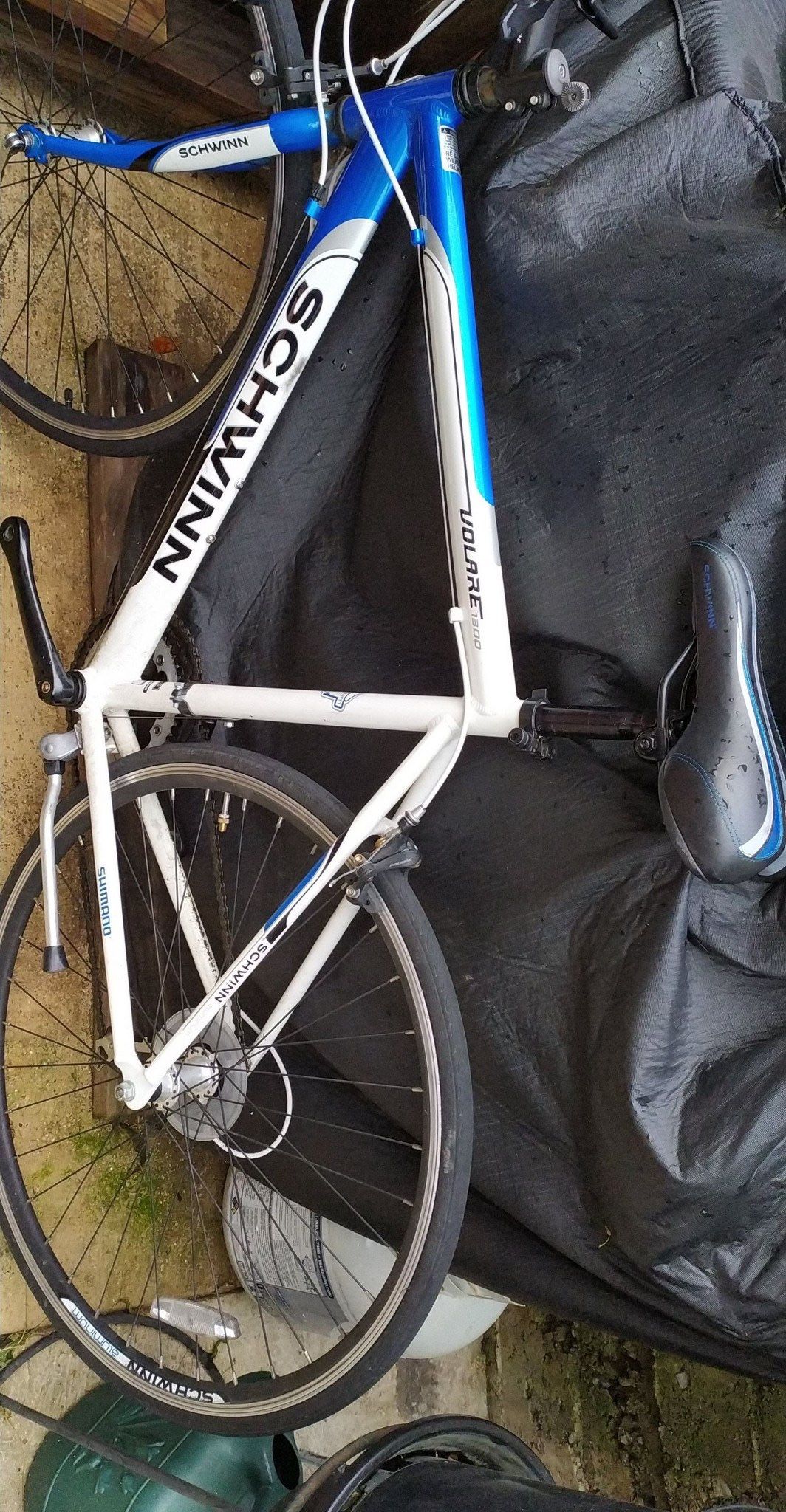 Road Bike - Schwinn