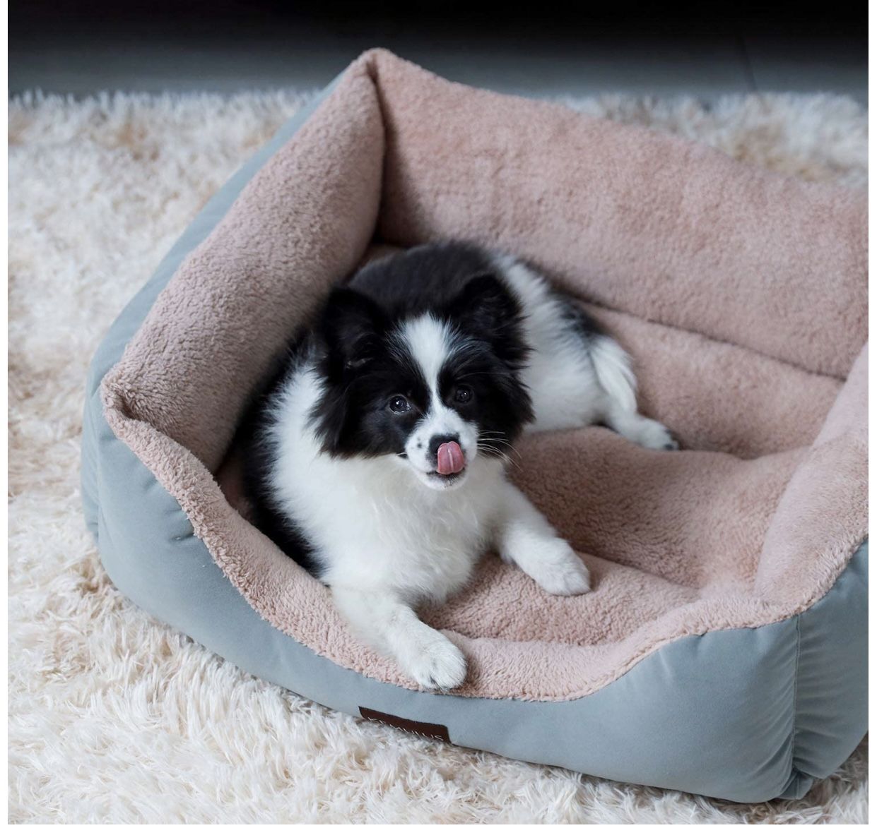 calming dog bed