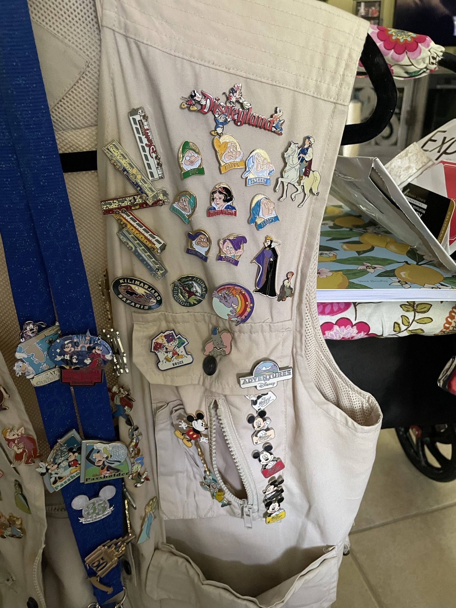 Disney Collectors Pins And Vest