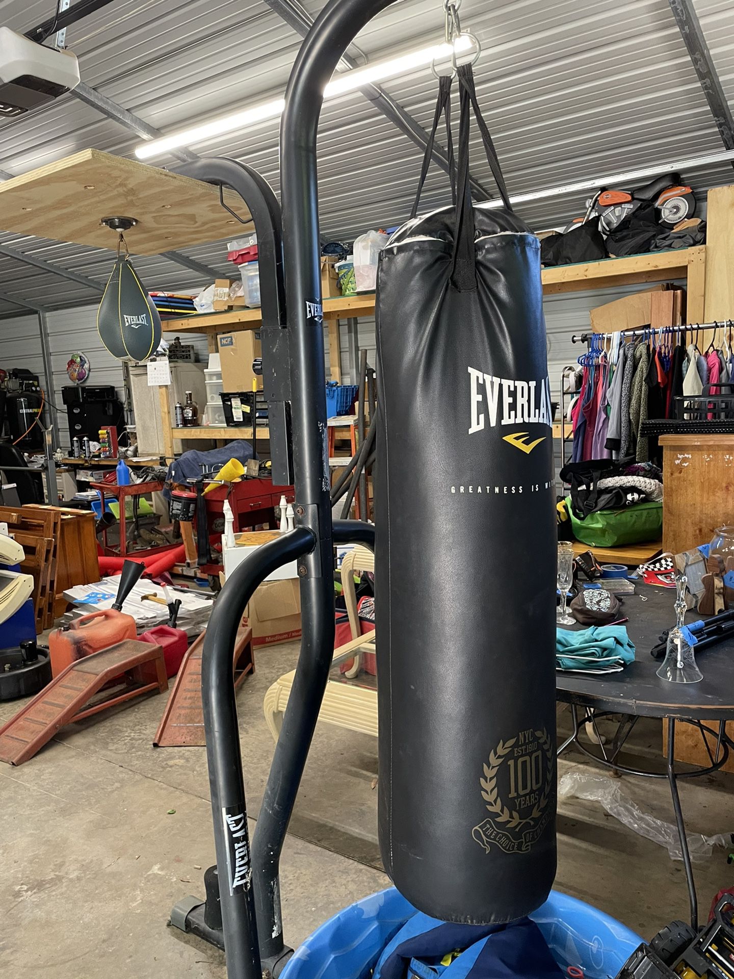 Punching Bag + Speed Bag W/stand 