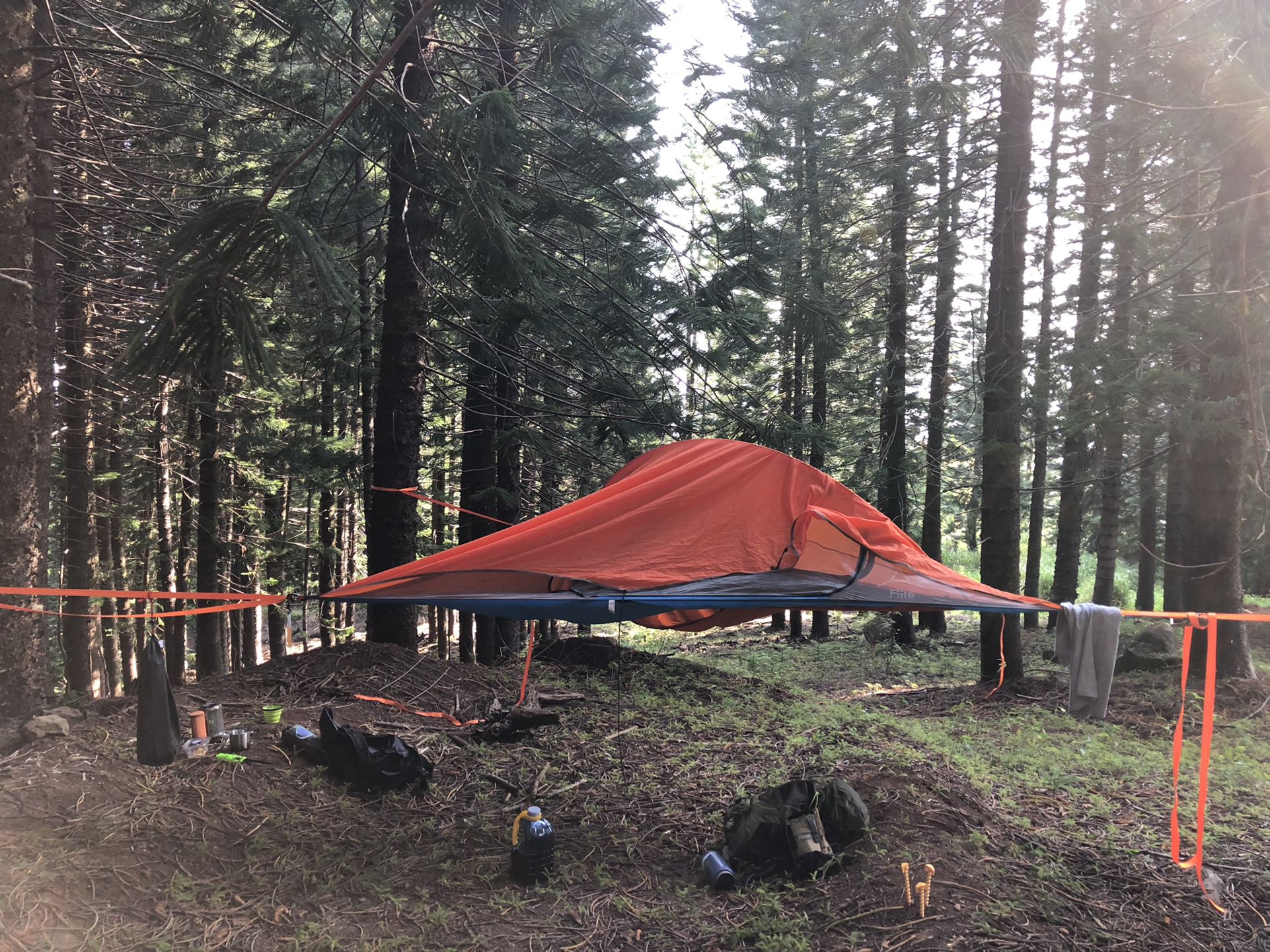 Tentsile Flite Tree Tent