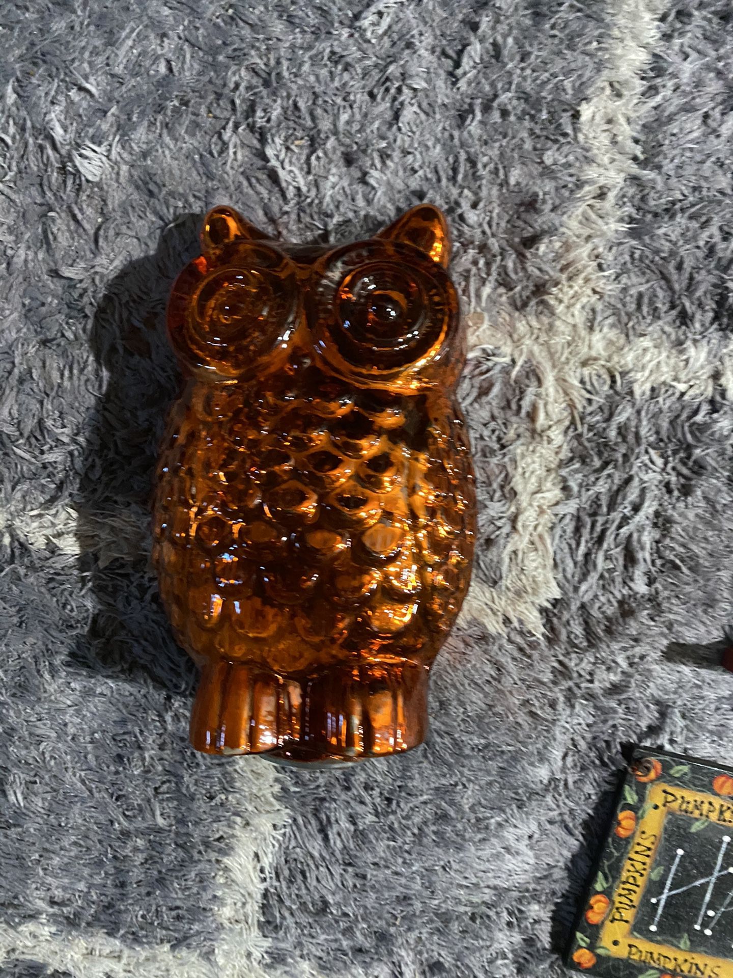 Fall owl decor