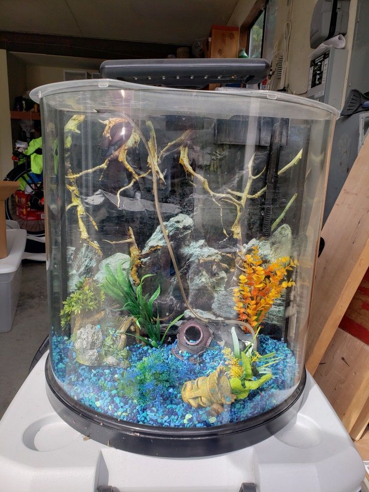 Fish Tanks ( 55 Gallon And 10 Gallon Curved Front)