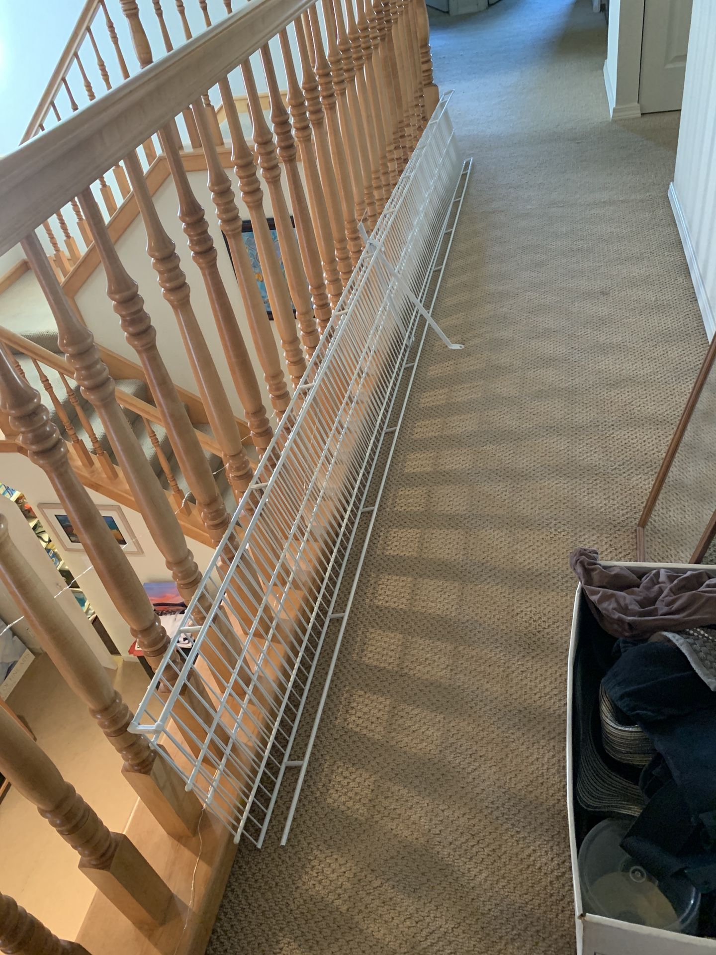 Two Ventilated Shelves (Each 10 Ft)