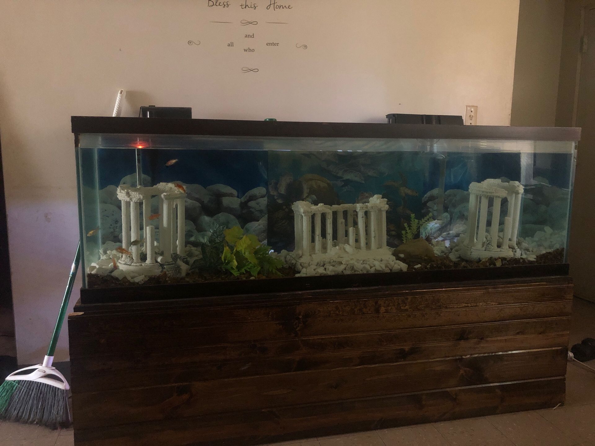 Fish tank