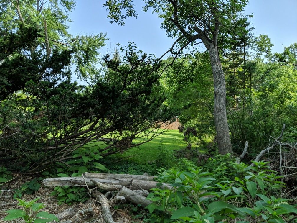Vacant Land - Moline, Illinois