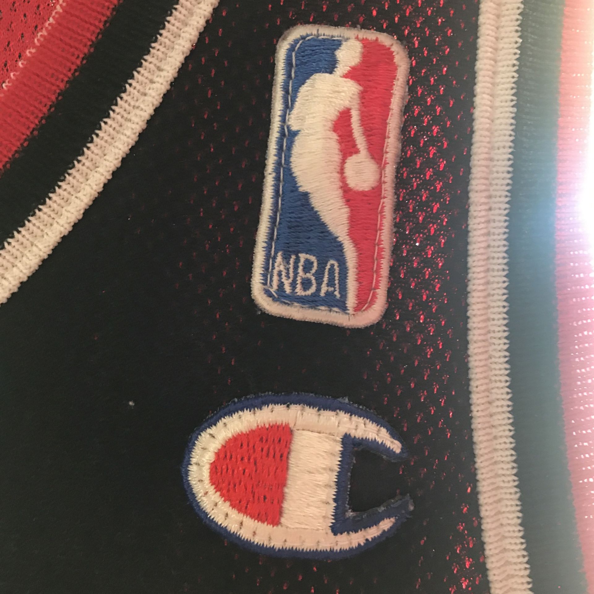 Scottie Pupper Bulls Champion Jersey Reversible
