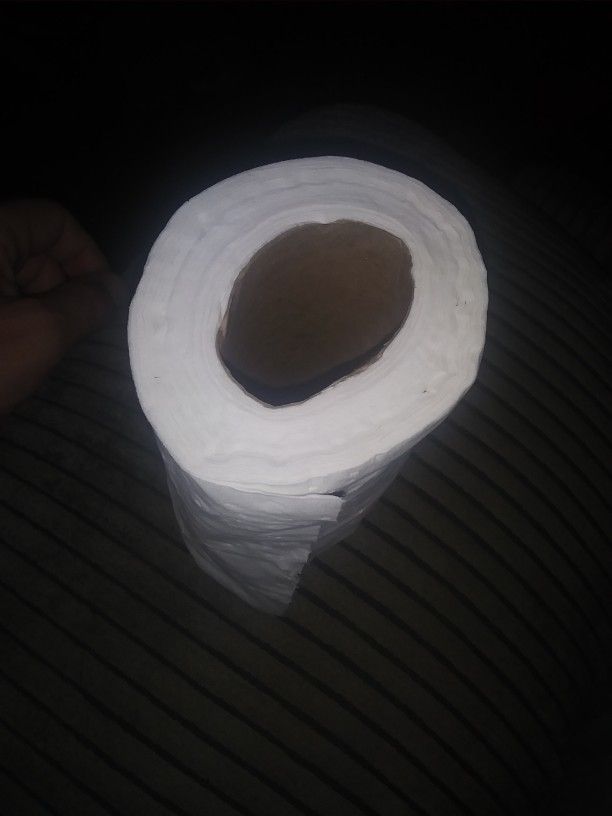 Used Toilet Paper