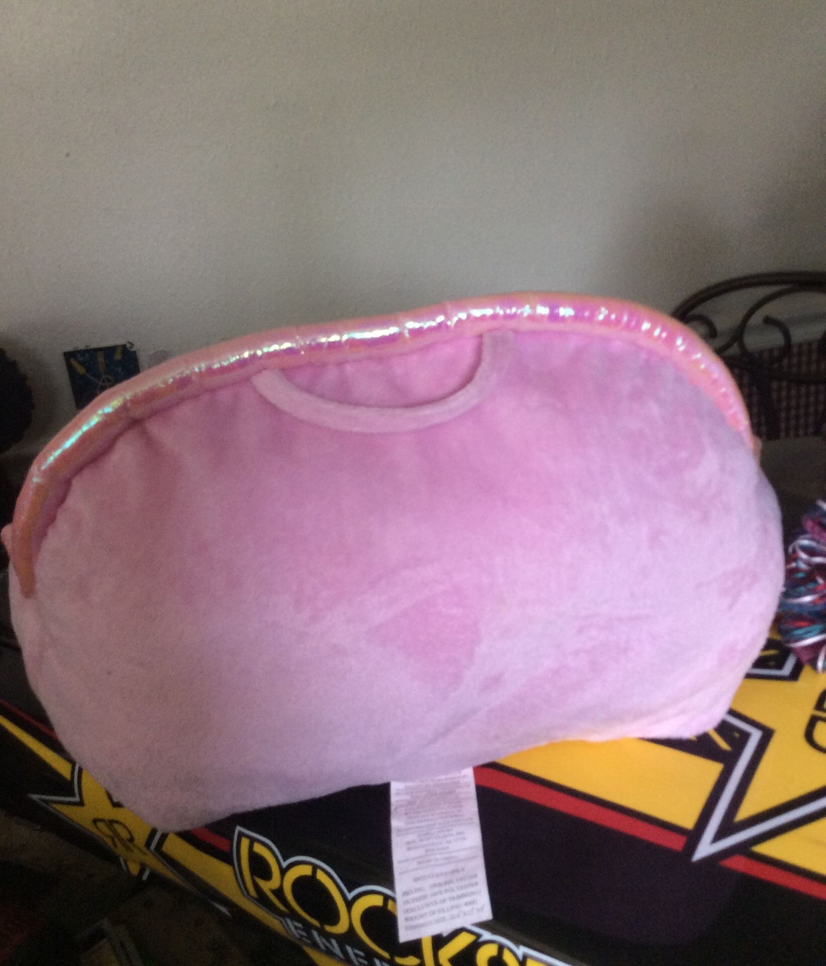 Princess and Tinkerbell pillows