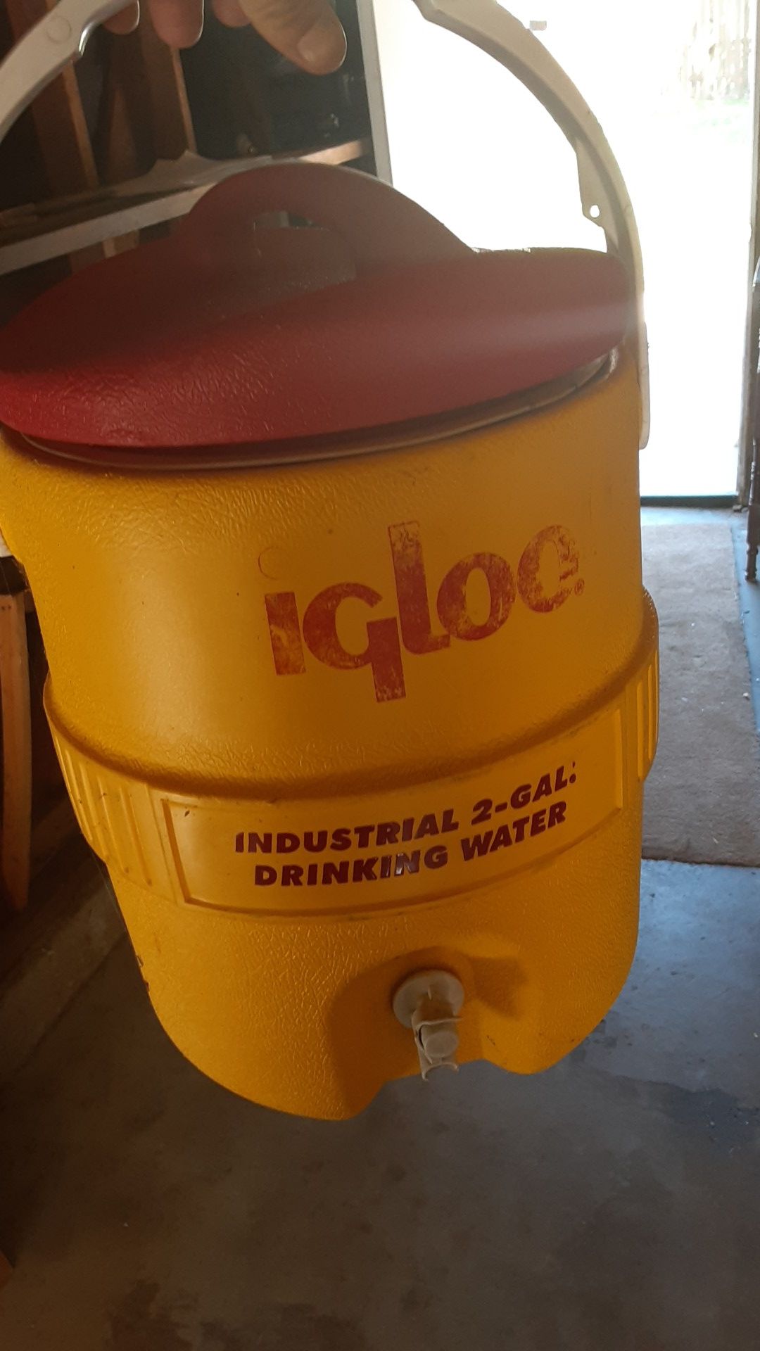 Igloo