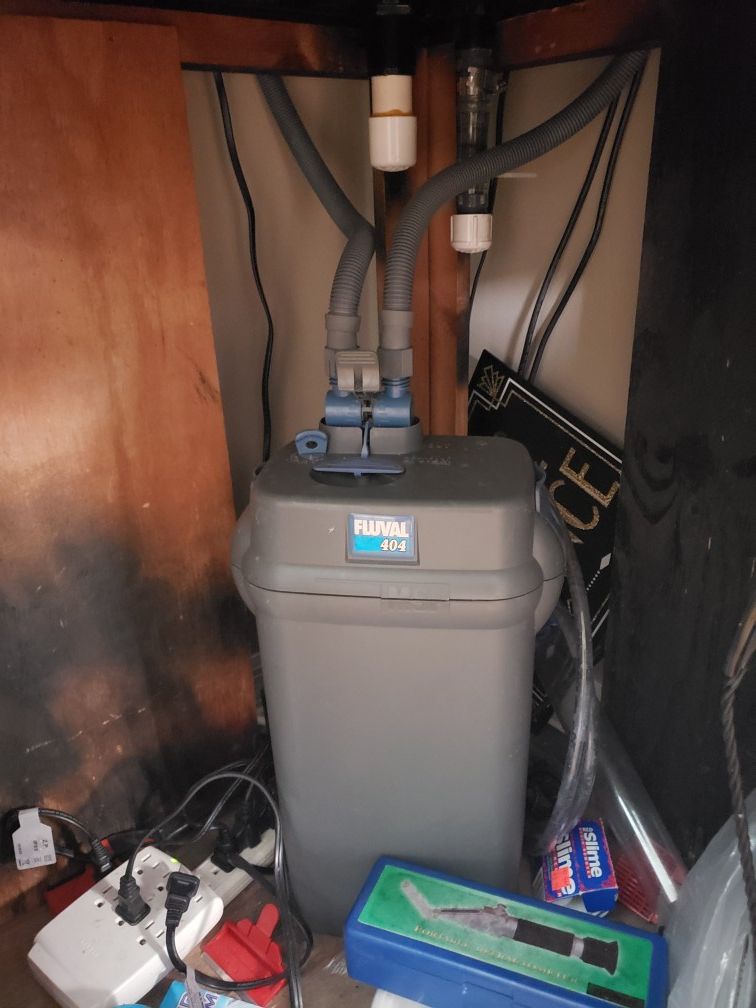 60 gallon corner aquarium tank, stand and lid