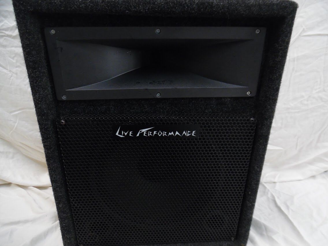 Live Performance Speaker