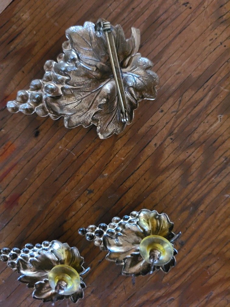 Earrings And Brooch Grape Design