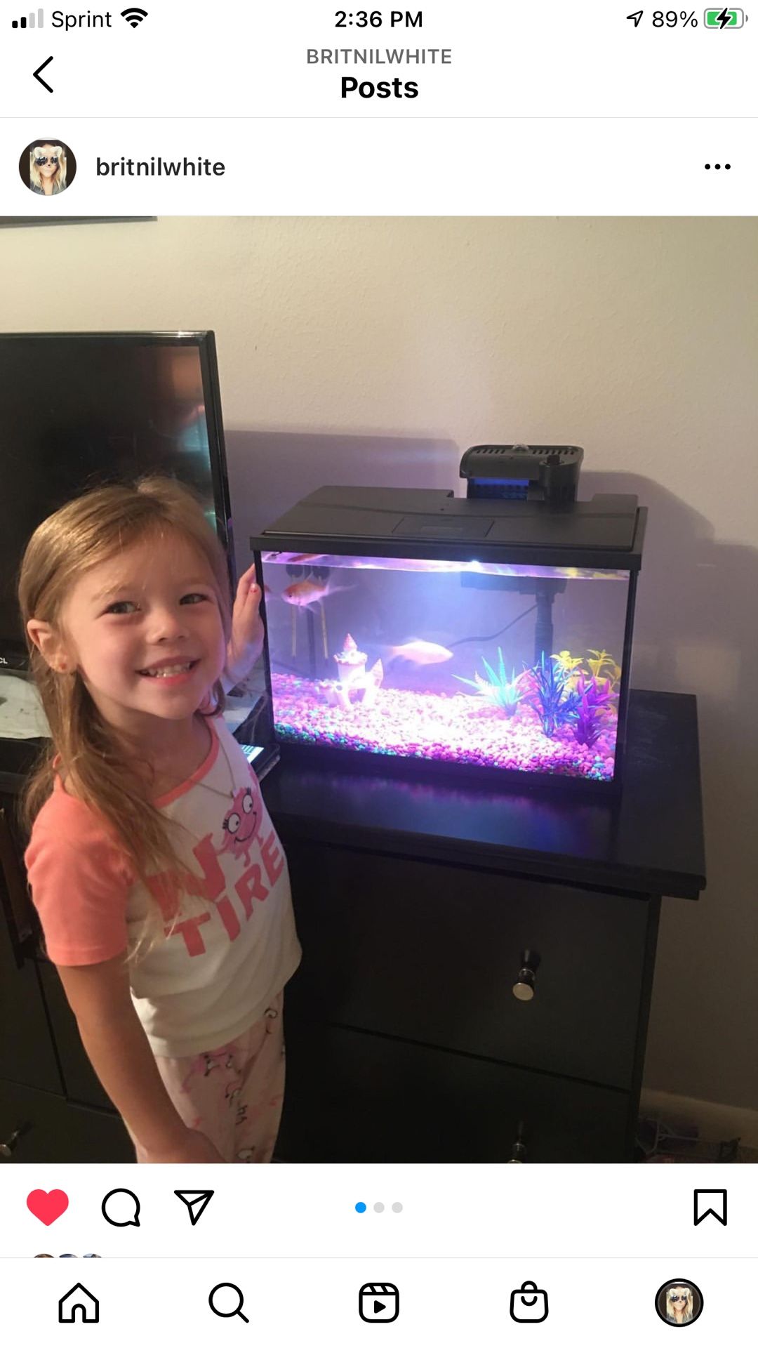 5 Gallon Top Fin Fish Tank