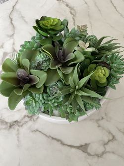 10” Planter And Fake Succulents  Thumbnail