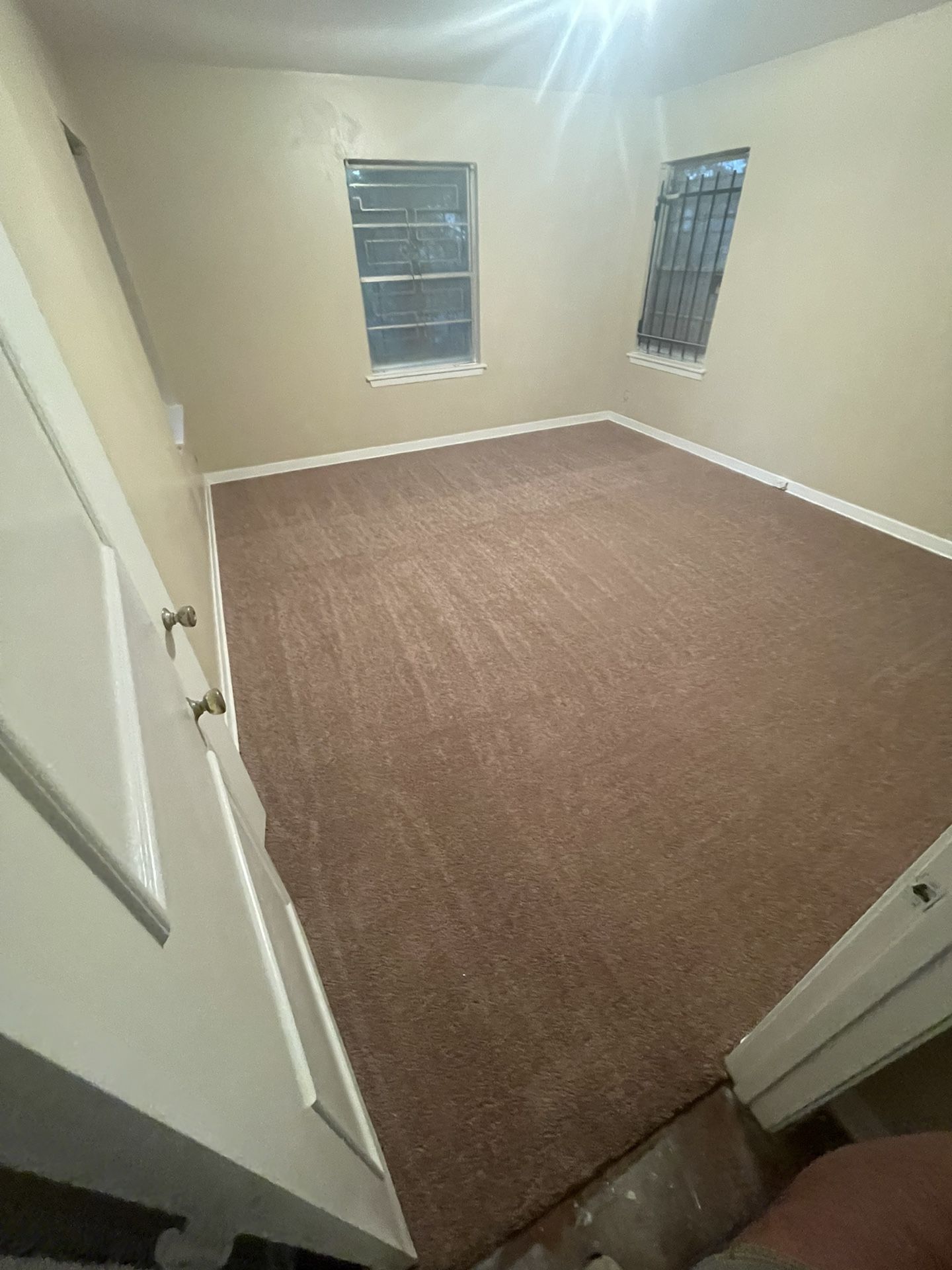 Carpet For Sale